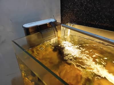 Full fishtank setup with live plants