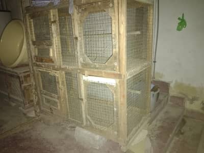 Parrots and hens cage