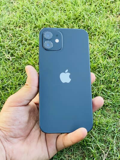 Apple iPhone 12 Dual PTA Approved 128gb Blue