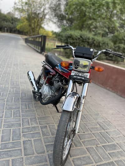 original pack bike