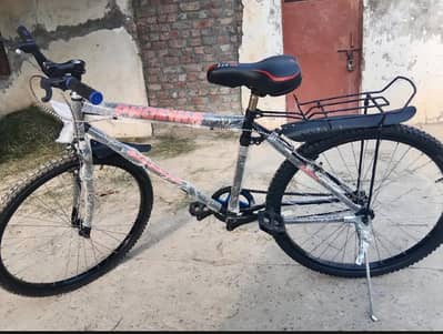 Phoenix Cycle with Carrier and Mudguards – 10/10 Condition