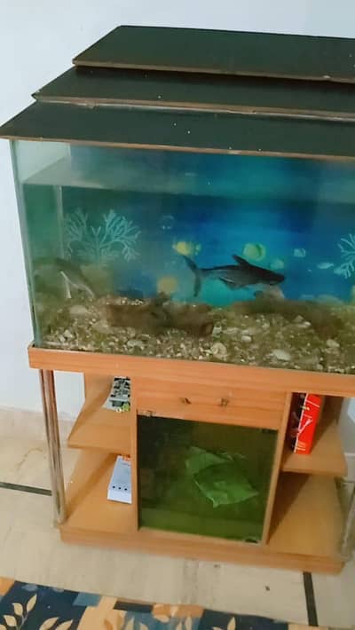 Aquarium For Sale