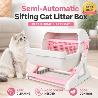 cat toilet