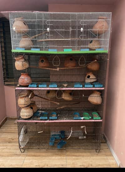 5 floor cage for sale