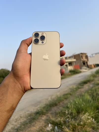 iPhone 13 Pro Max 256
