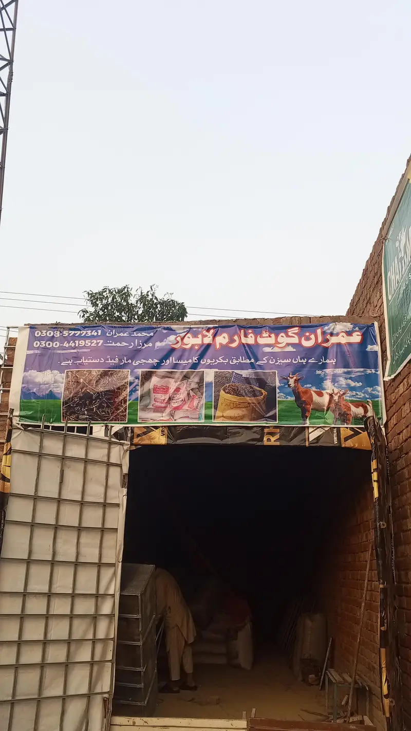 جانوروں کے لیے بہترین میسہ دستیاب ہے ۔ — photo 5