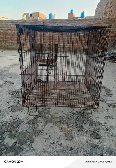 birds cage