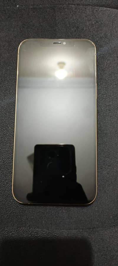 i 12 pro max