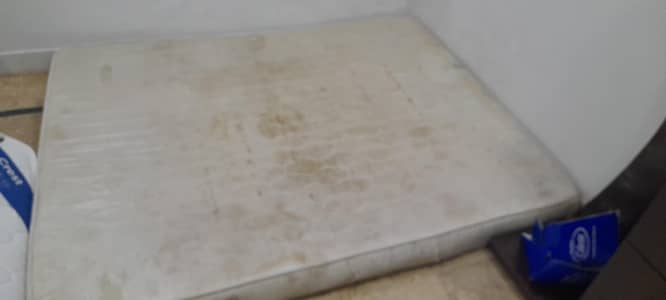 Medicated Mattress, Single Foam & Sofa Cum Bed for Sale