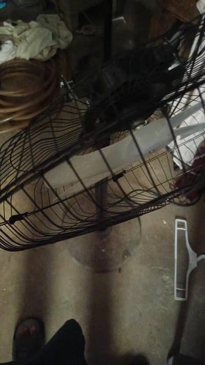 fan 12V japnese motor fan