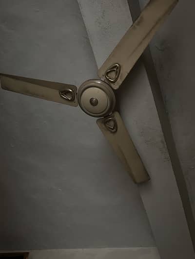 ceiling fan