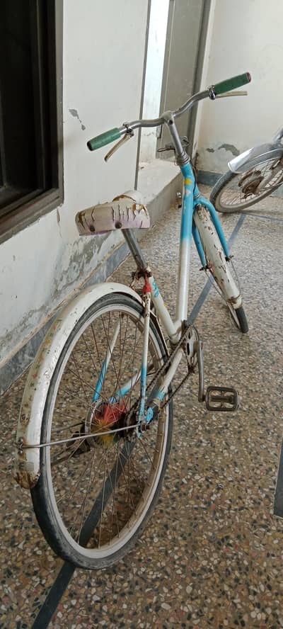 Japanese style cycle
