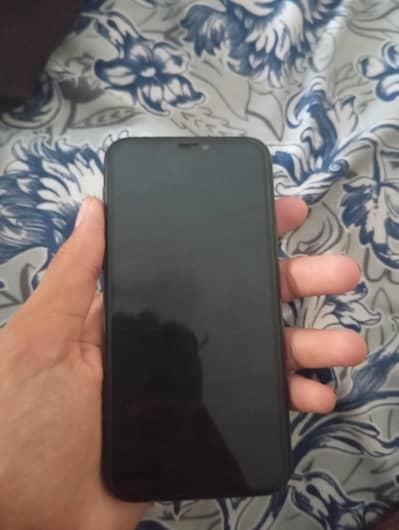 Apple iPhone 11 Pro battery and pannel changed