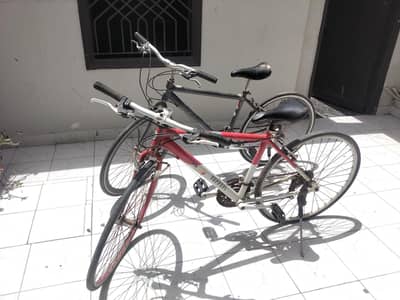 Bicycle Imported For sale
