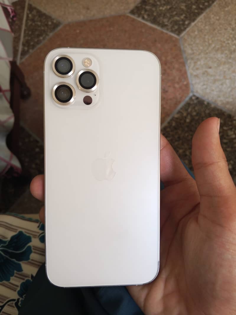 Apple iPhone 12 Pro Max 1
