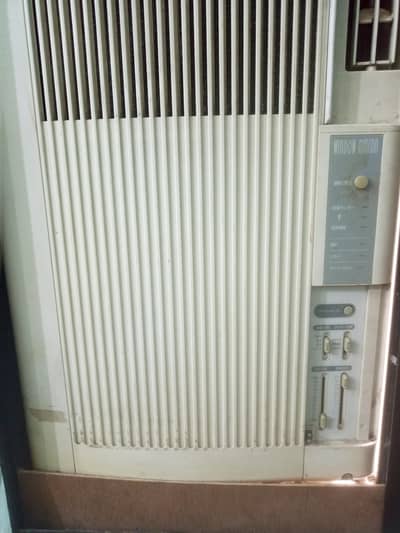 portable 110 ac with converter