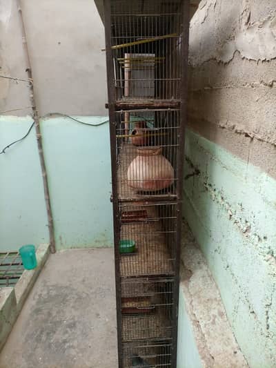 Cage Sell