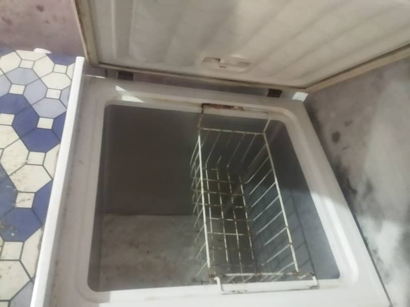 Waves freezer 1