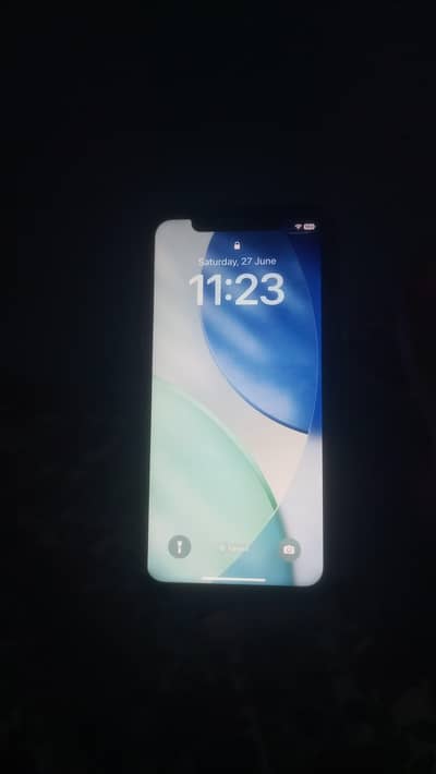 iPhone X bypass