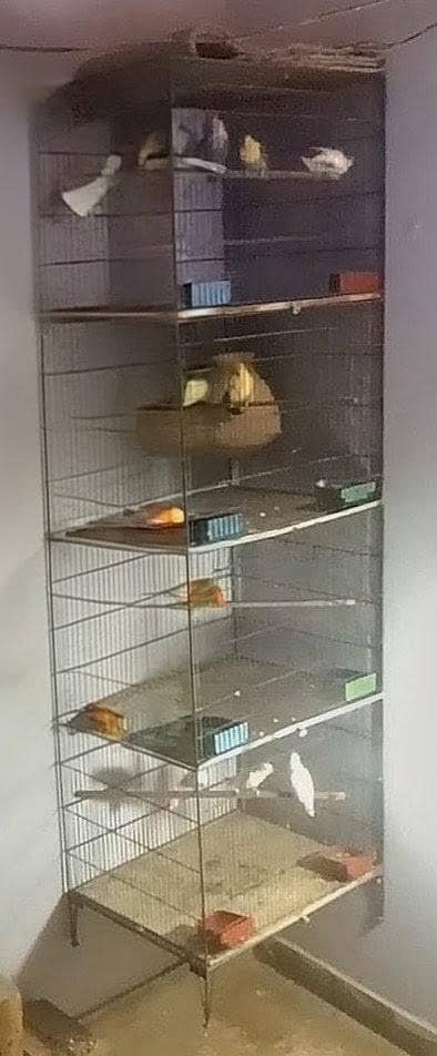 04 portion cage