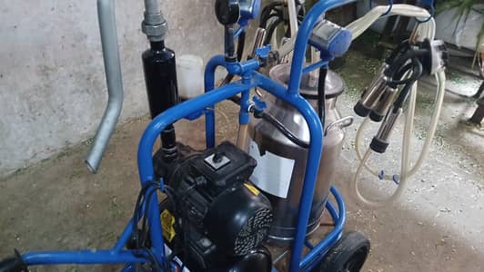 Turkey milking machine available for sale