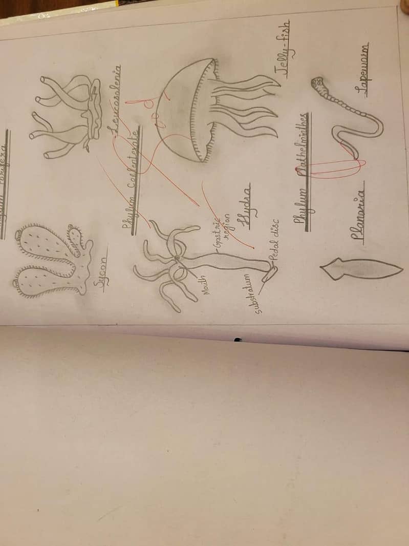 handwritten Practical Notebooks for Intermediate 1