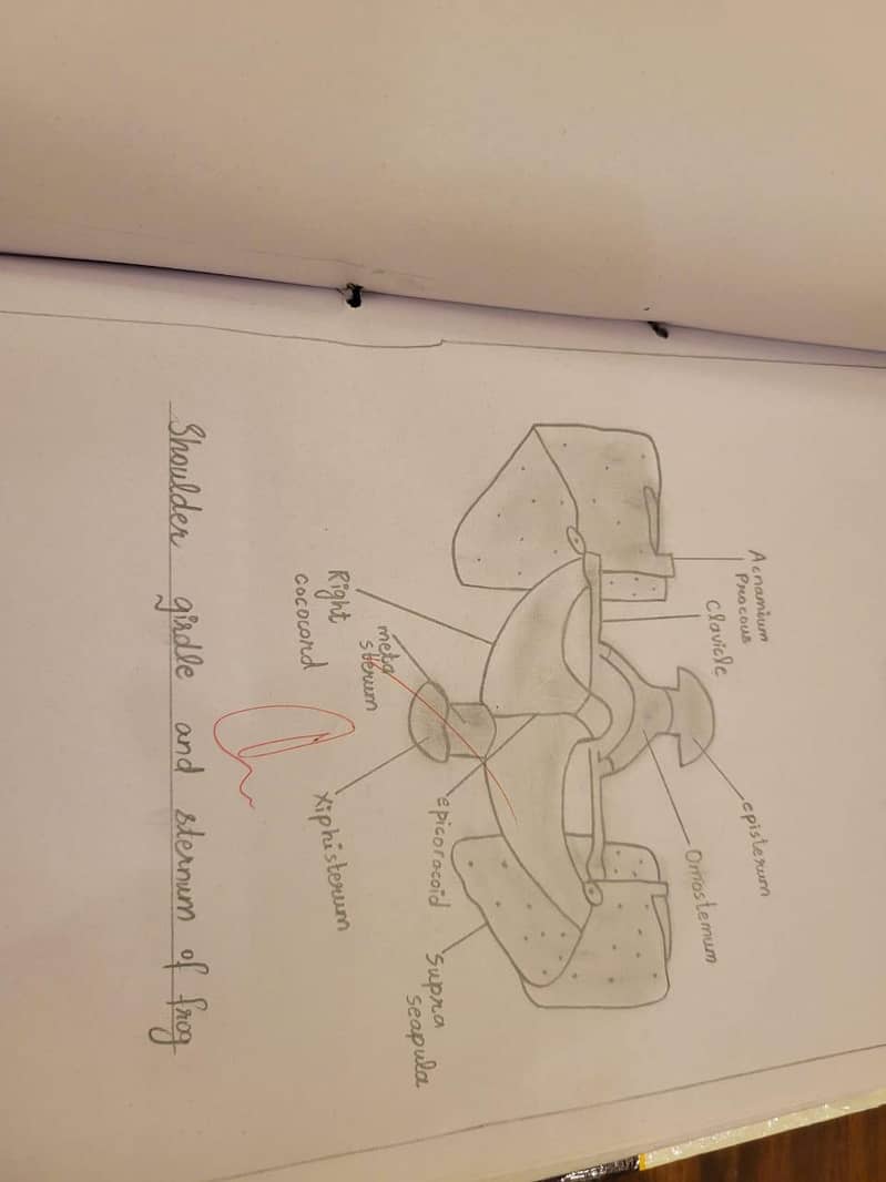 handwritten Practical Notebooks for Intermediate 2