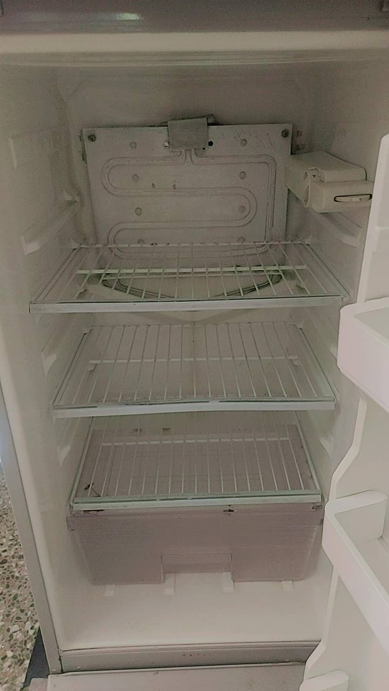 fridge 7