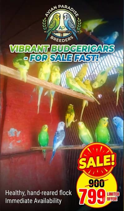 For sale