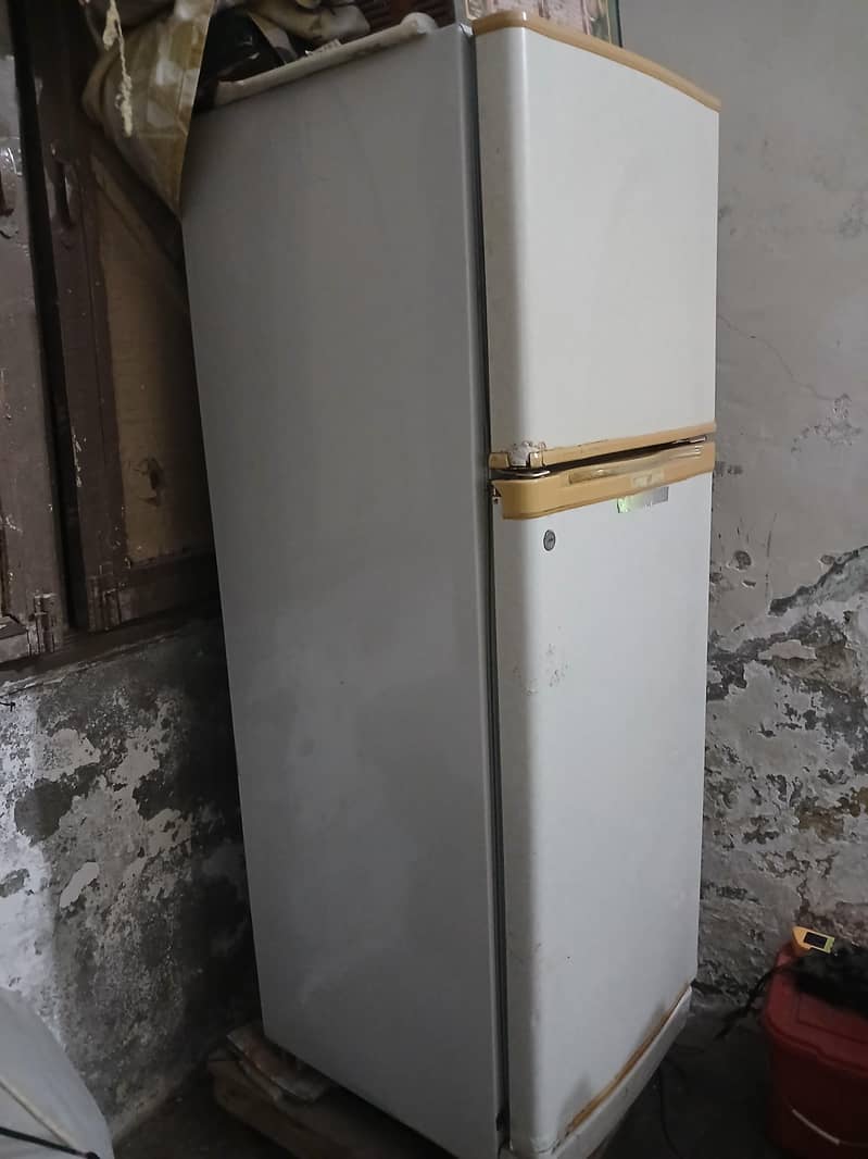 fridge 1