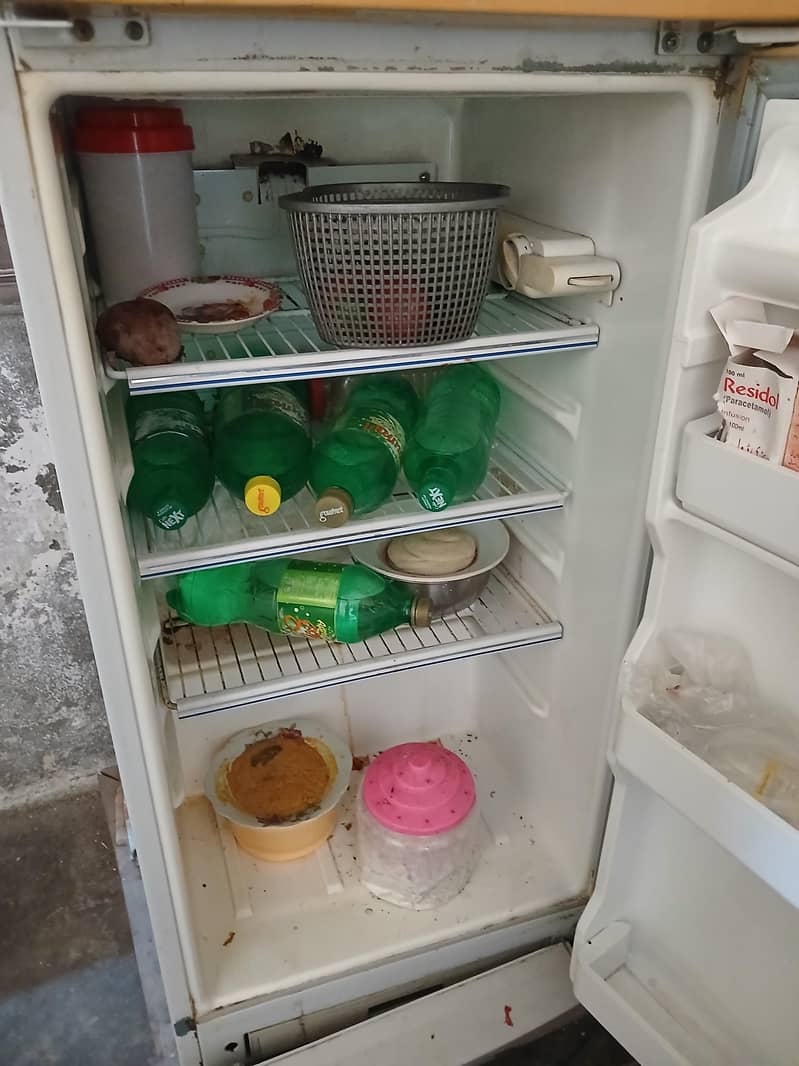 fridge 2