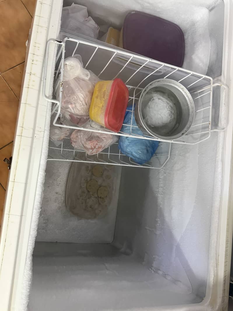 Waves Freezer 4