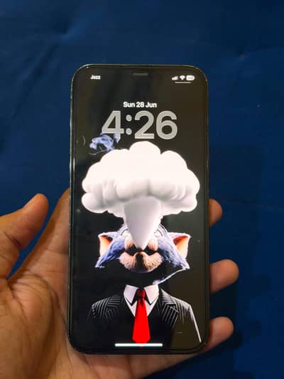 iPhone 12 Pro Max