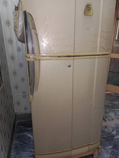 PEL refrigerator medium sized