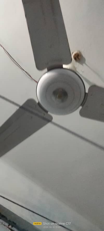 Millat, copper fan