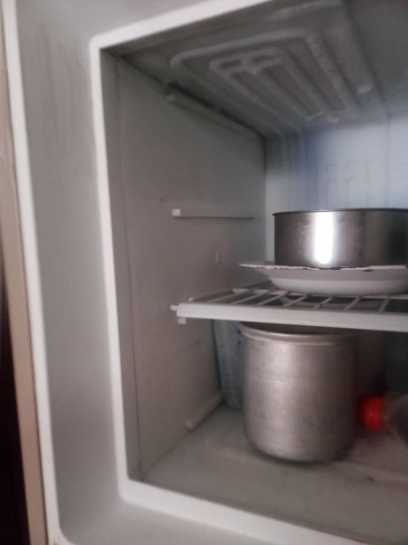 Fridge 2