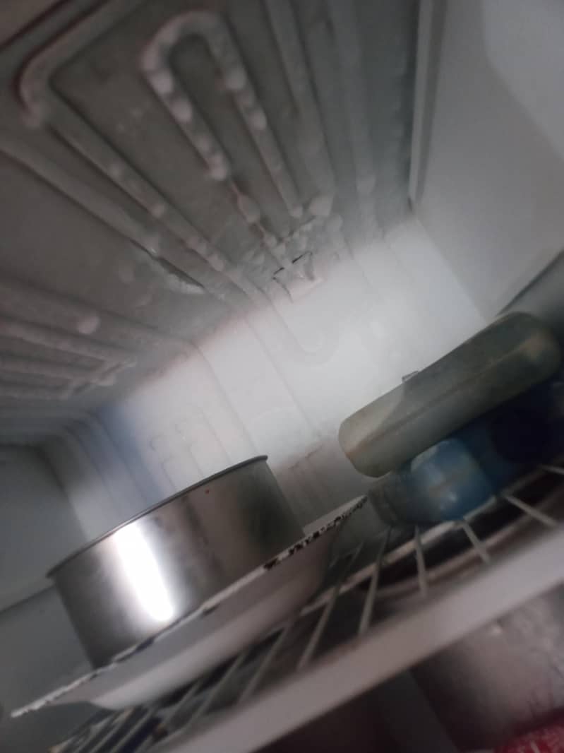 Fridge 3