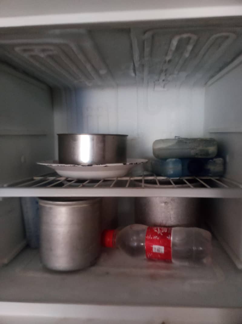 Fridge 4