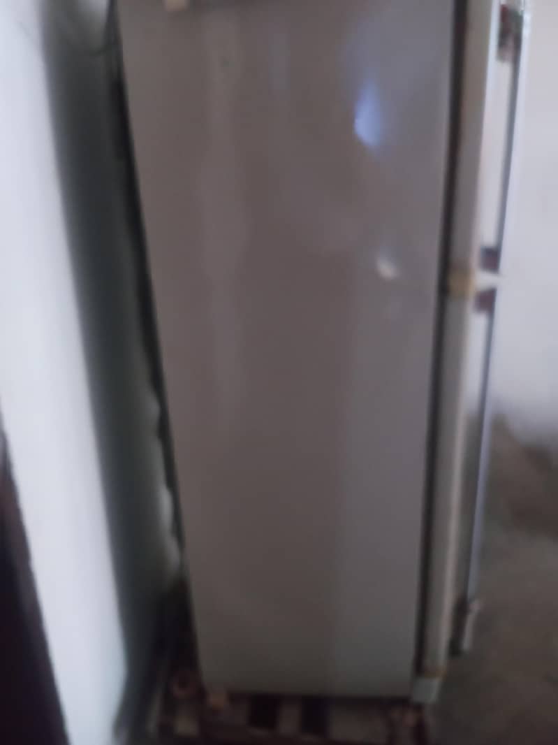 Fridge 6