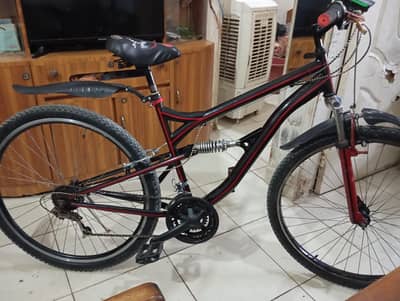 29 inch tyre 19 inch frame full size bicycle