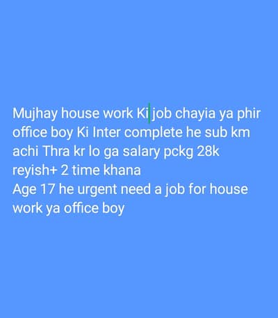 Need a job for house work or office boy