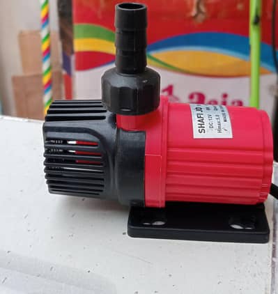 12 DC pump /2 in 1 juicer machine