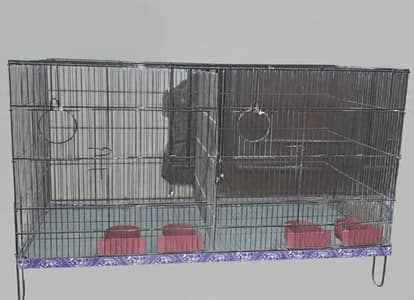 BIrd Cage