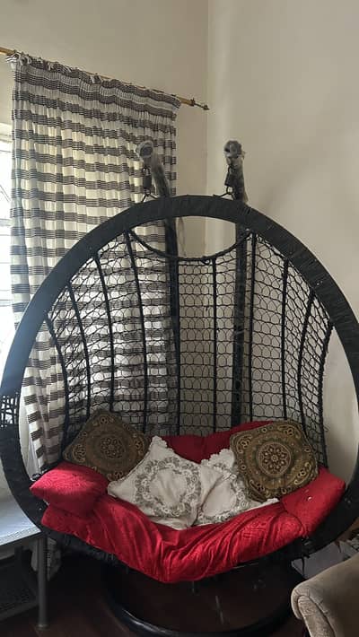 Double seater swing