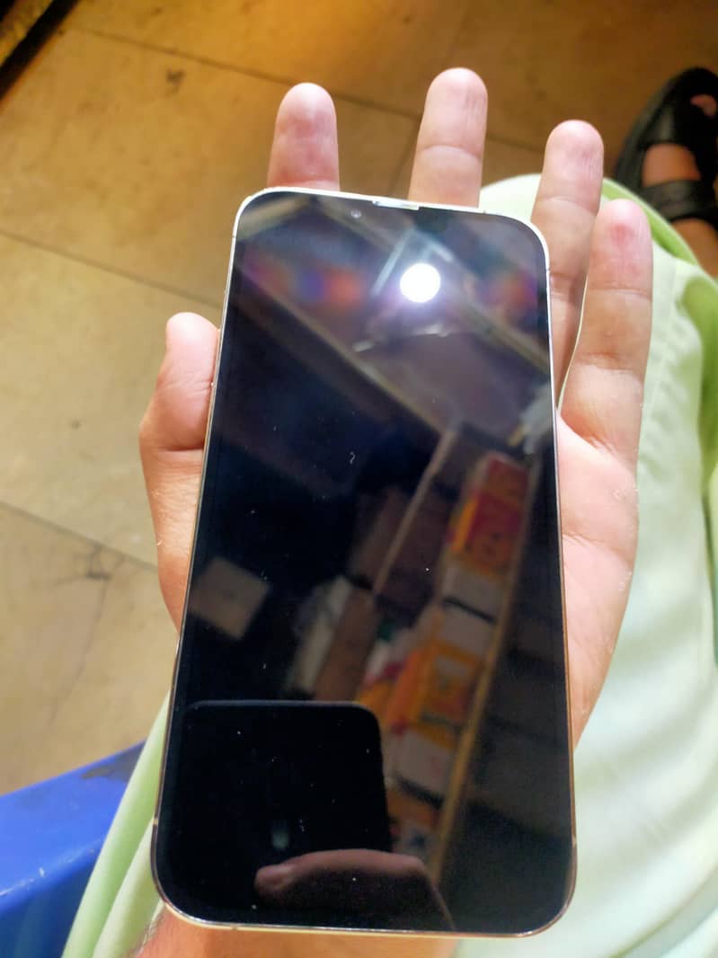 iPhone 13 pro max 1