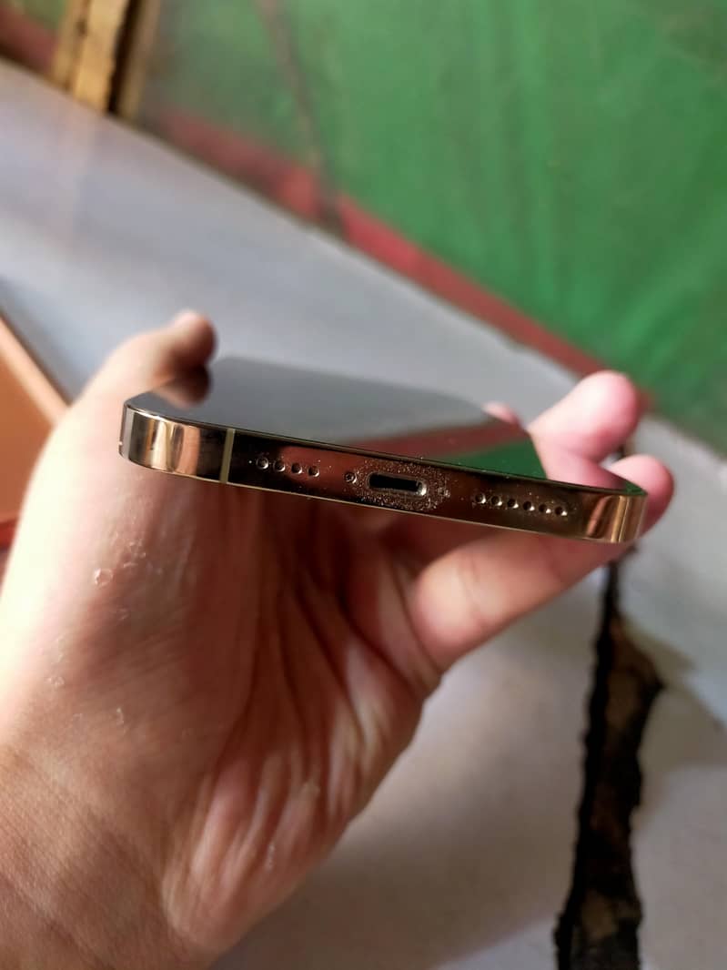 iPhone 13 pro max 3