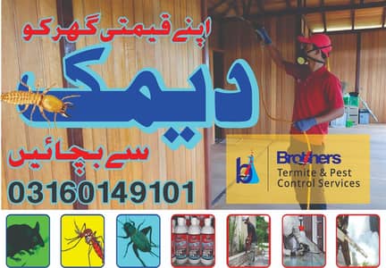 Fumigation Services, Pest Control Lahore, Termite Control, Bed Bug