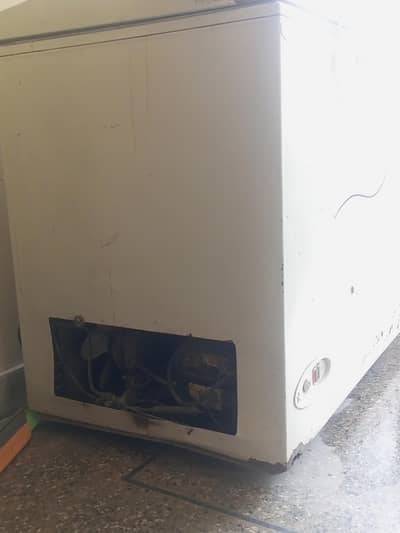 Freezer for Sale