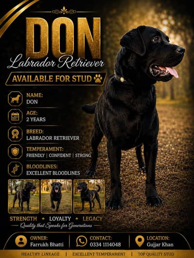 Confirm Stud available