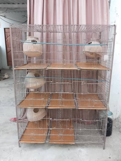6 portion cage.